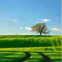 合﻿并​脚​本﻿是‍啥‌意﻿思‌